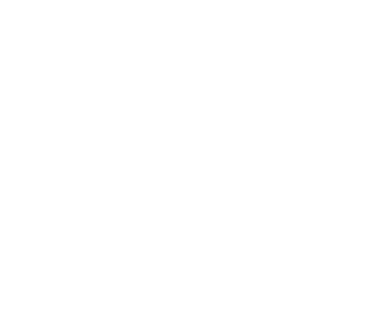 India Esthetic Salon OASIS