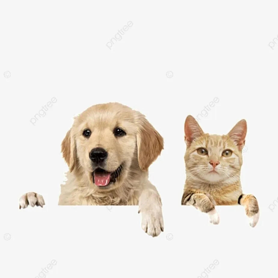 福山市痩身エステの強いIndia Esthetic Salon OASIS です。