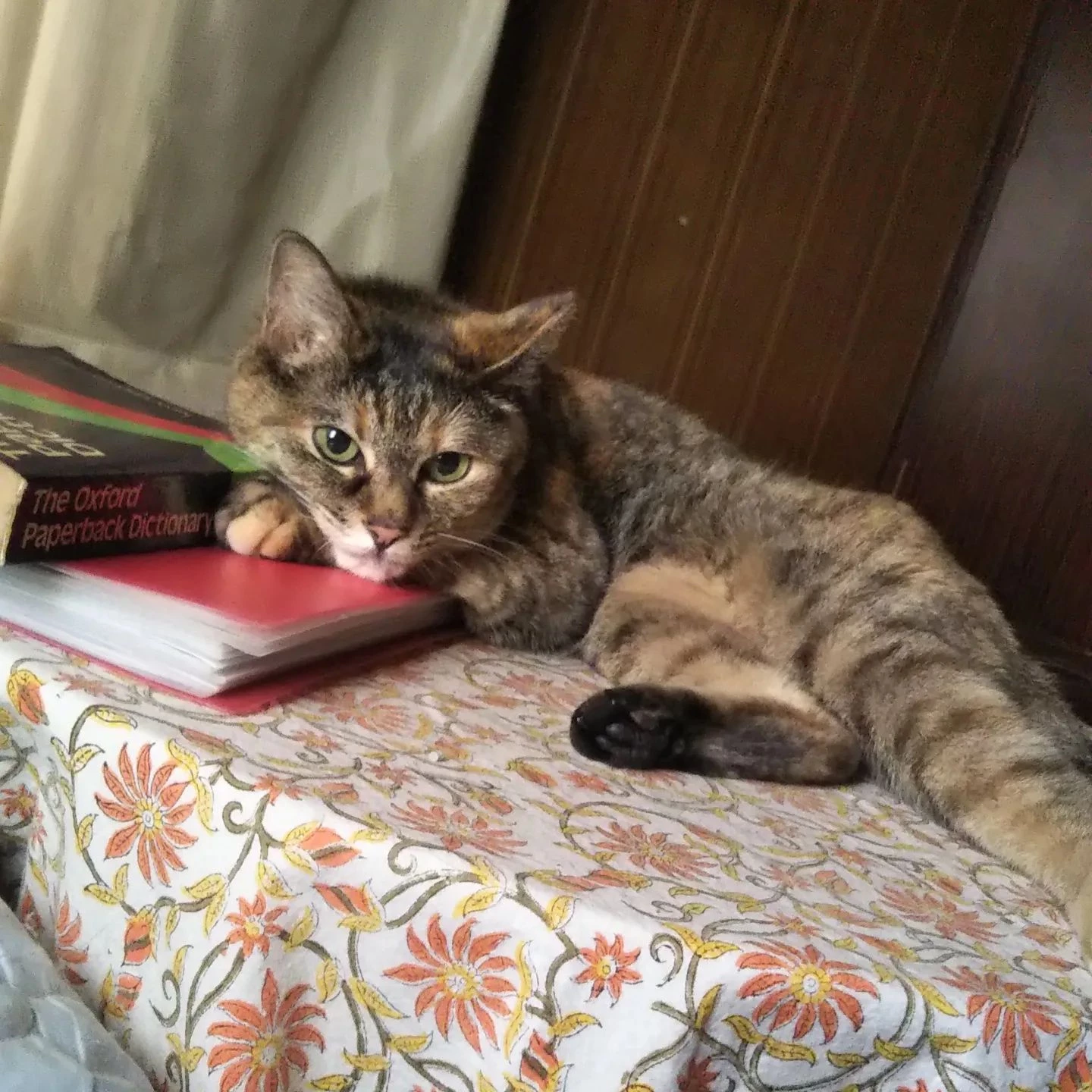 犬猫用のサプリメントを扱う