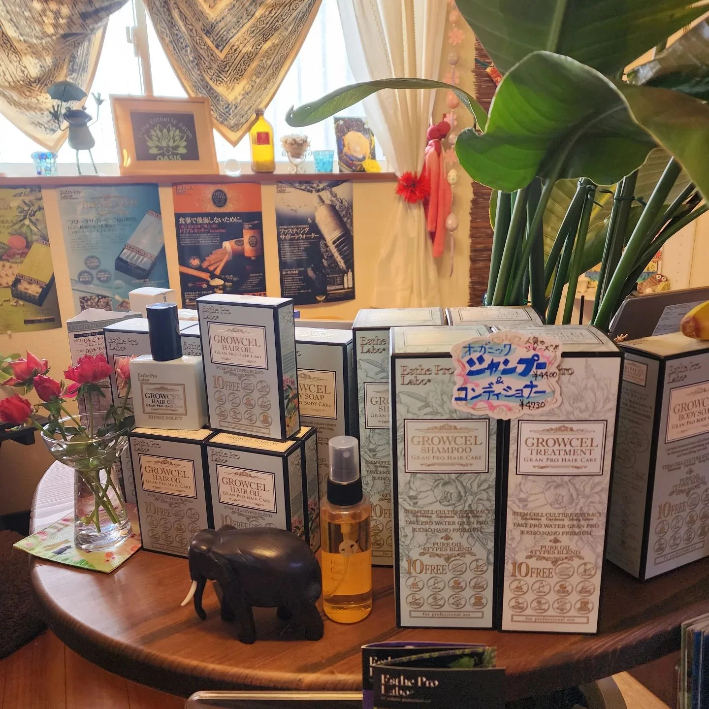 福山市エステサロンのIndia Esthetic Salon OASIS です。