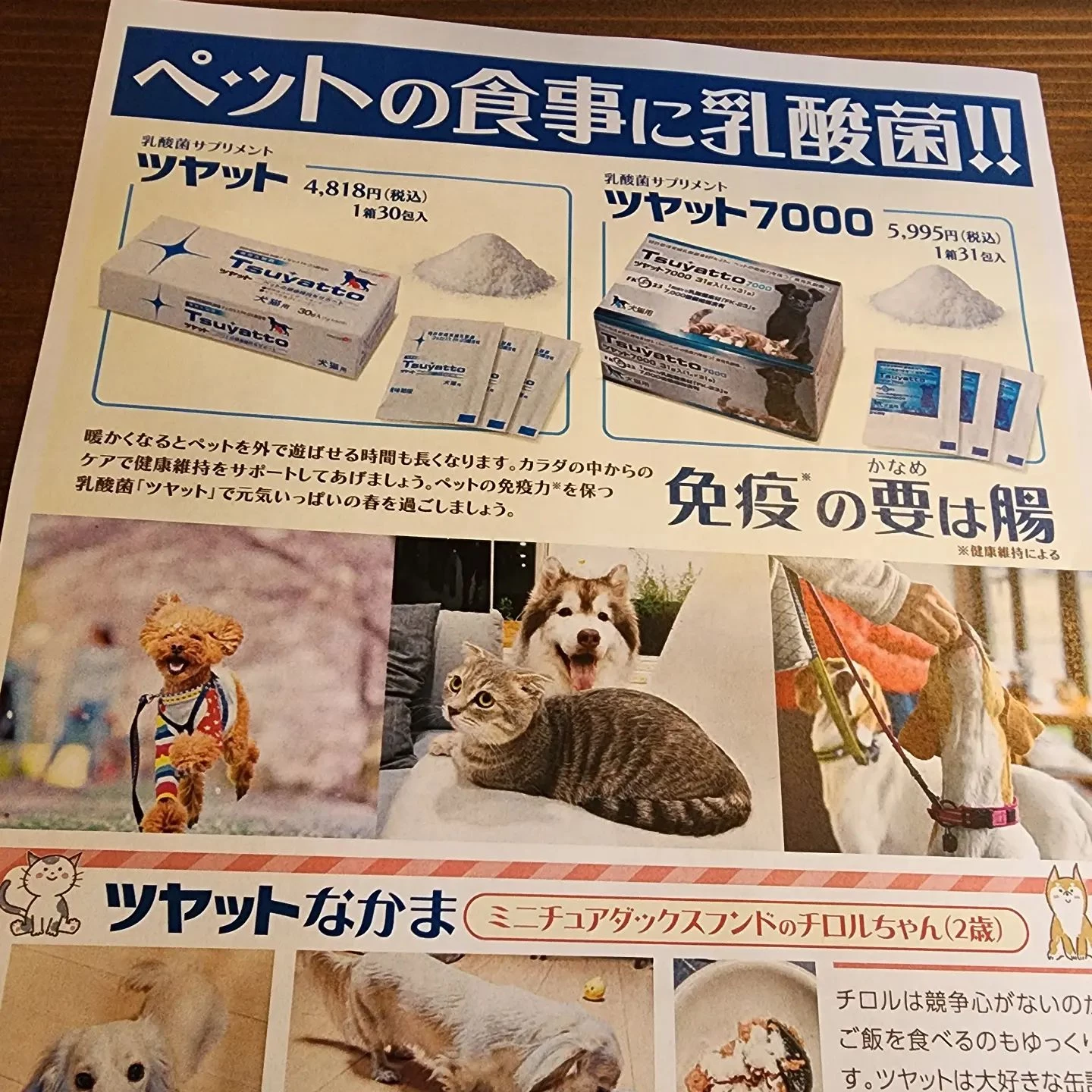 ペット用サプリメントを取り扱う福山市エステサロンのIndia...