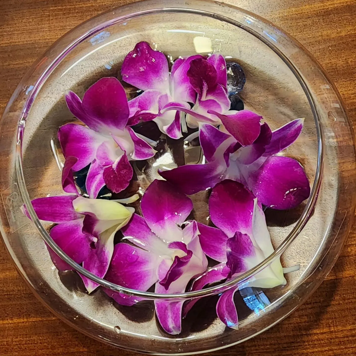 昨日は、大変忙しい１日でした。