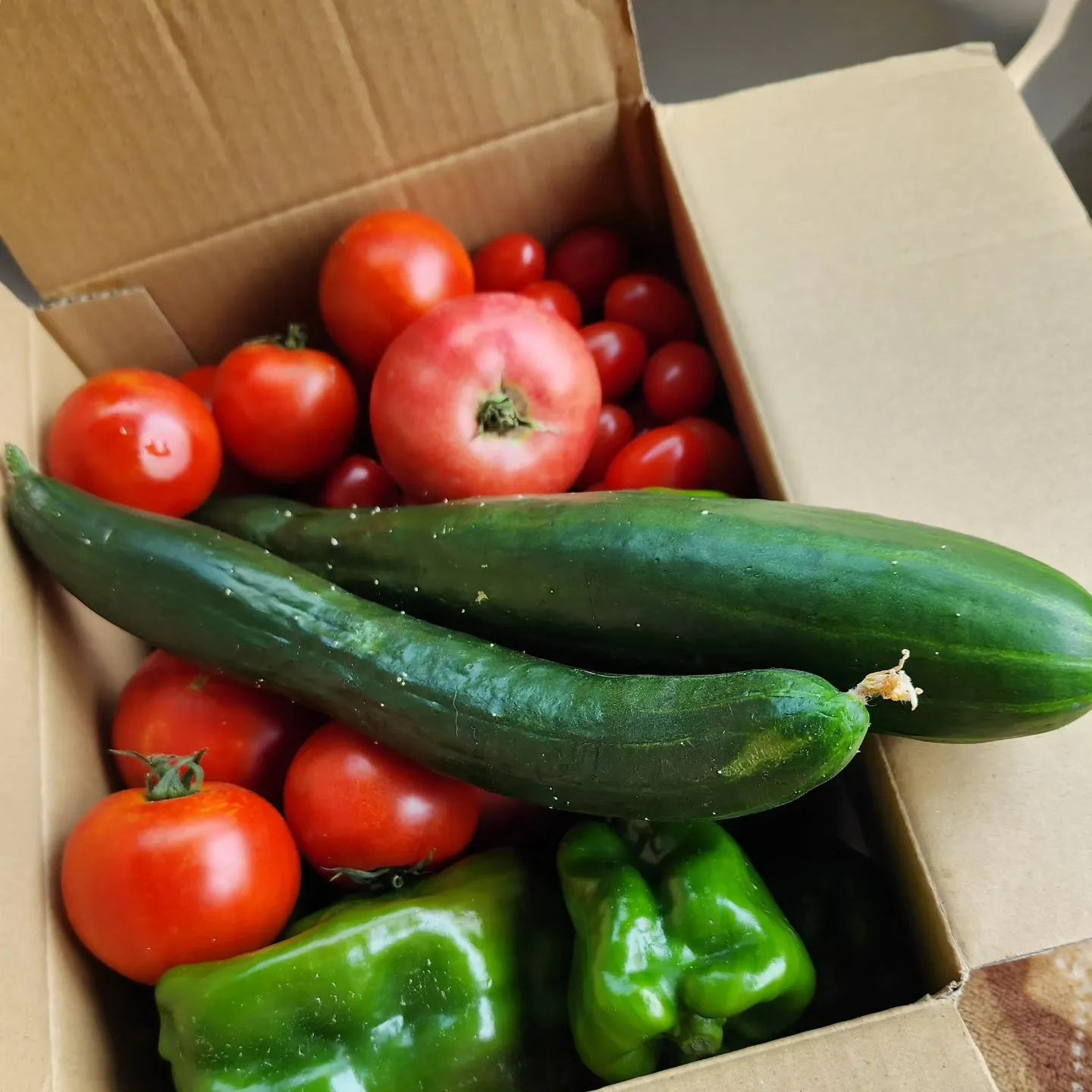 暑中お見舞い申し上げます🍉