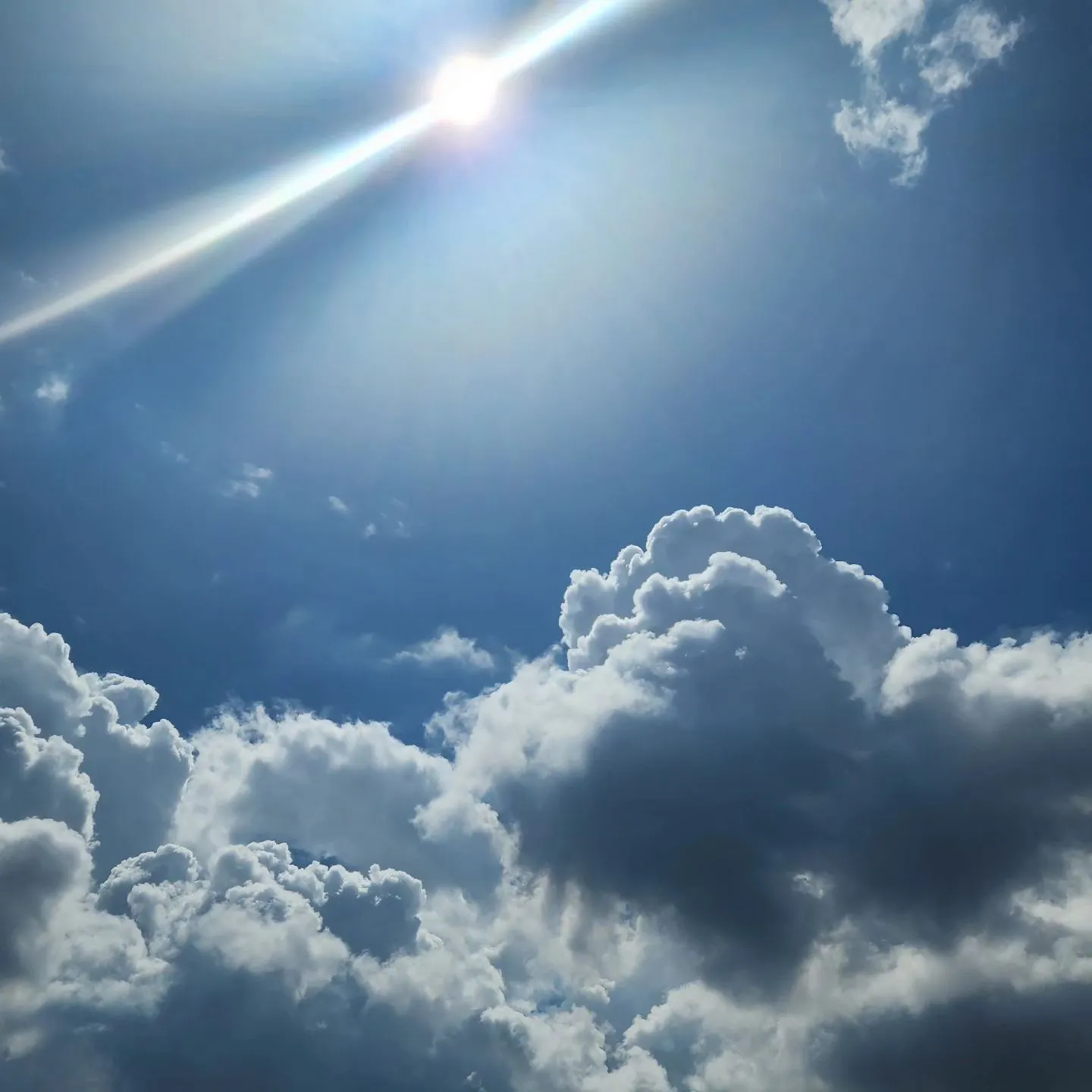 朝と夜がすっかり秋らしくなってきました。