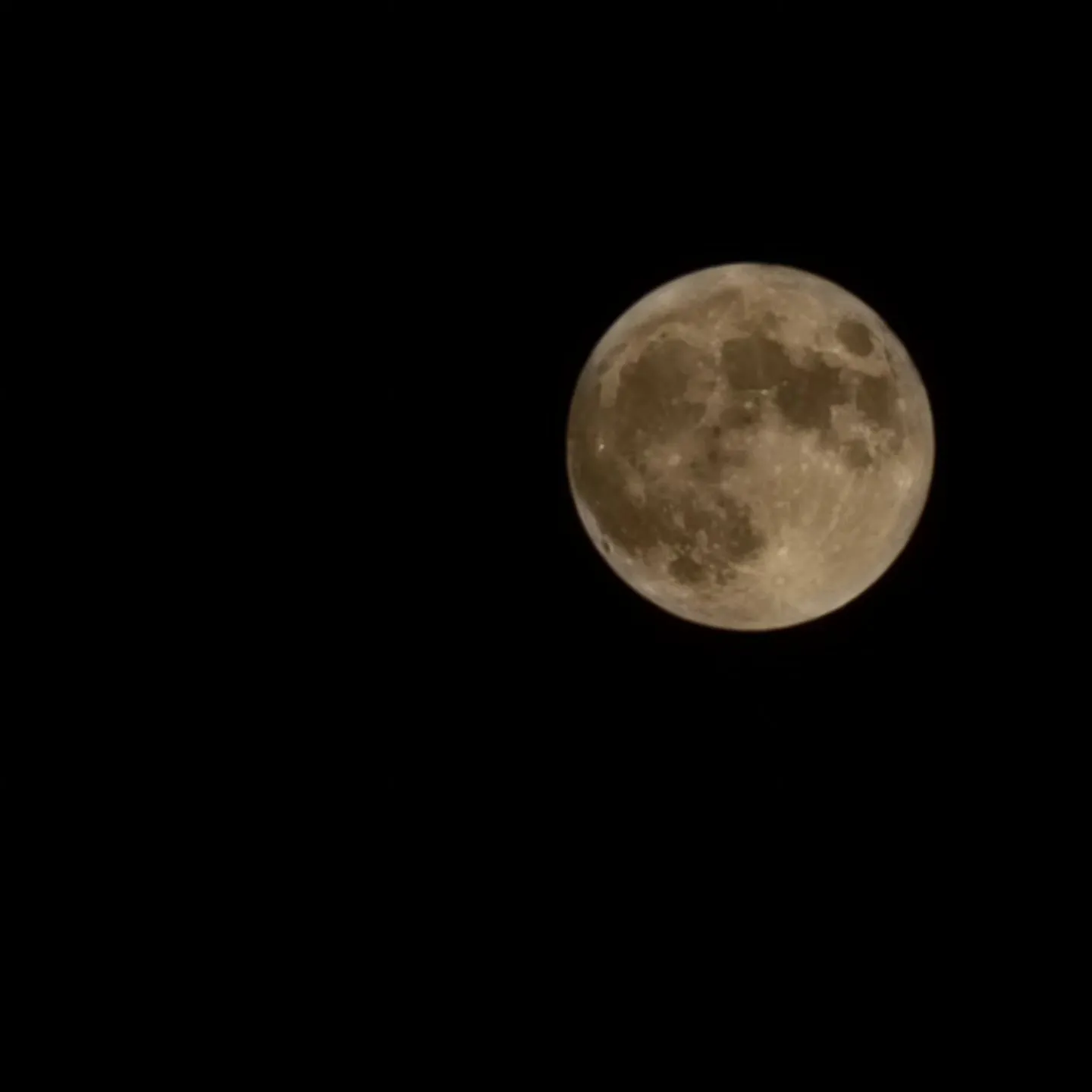 中秋の名月🌝満月が綺麗に見えています✨
