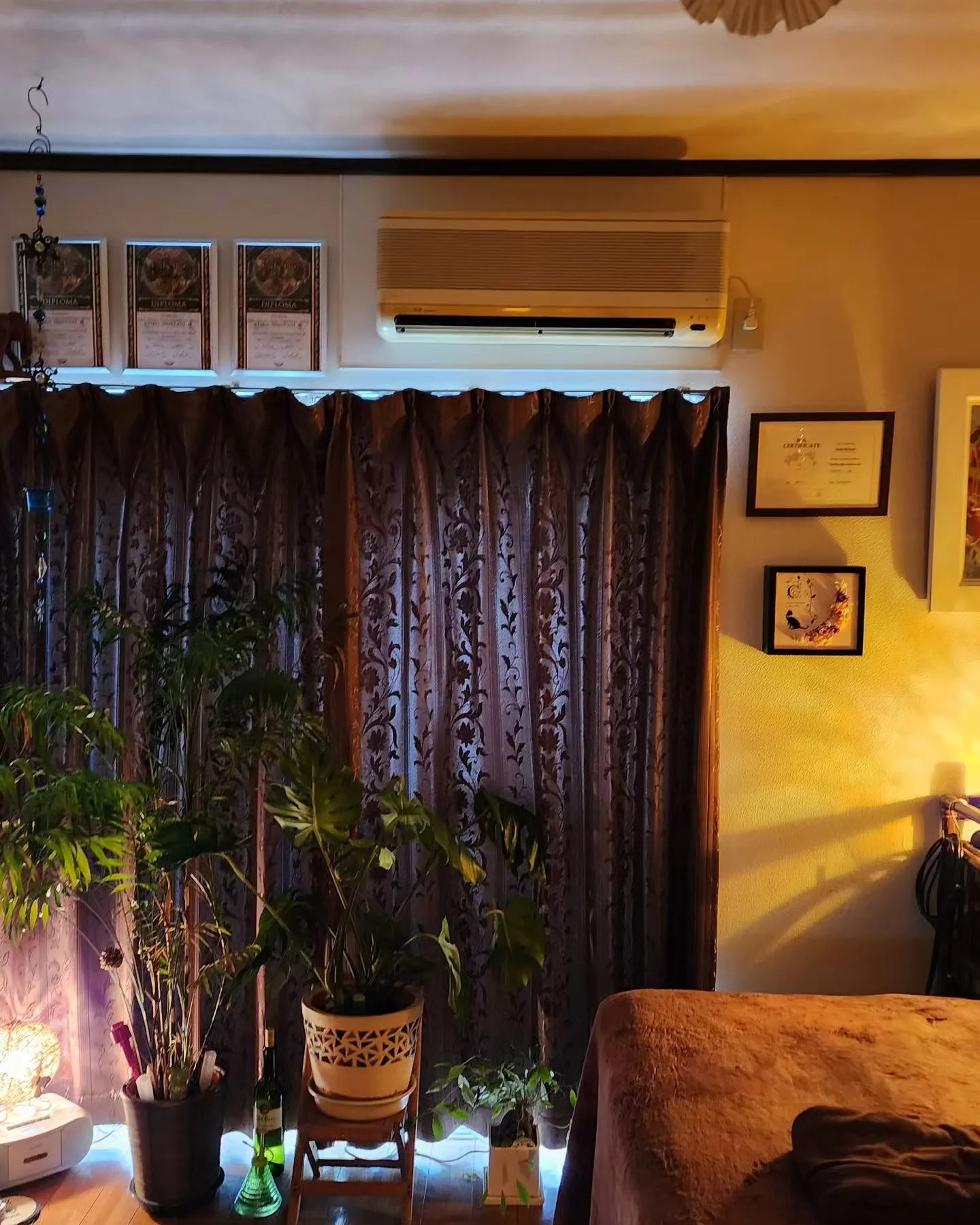 朝と夜がとても寒くなってきましたね✨