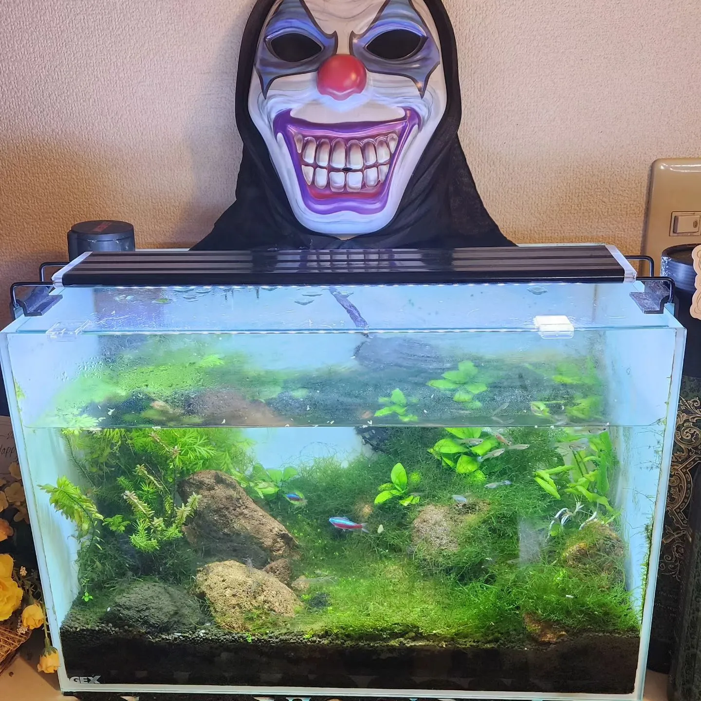 ダイエット継続中のお客様には、