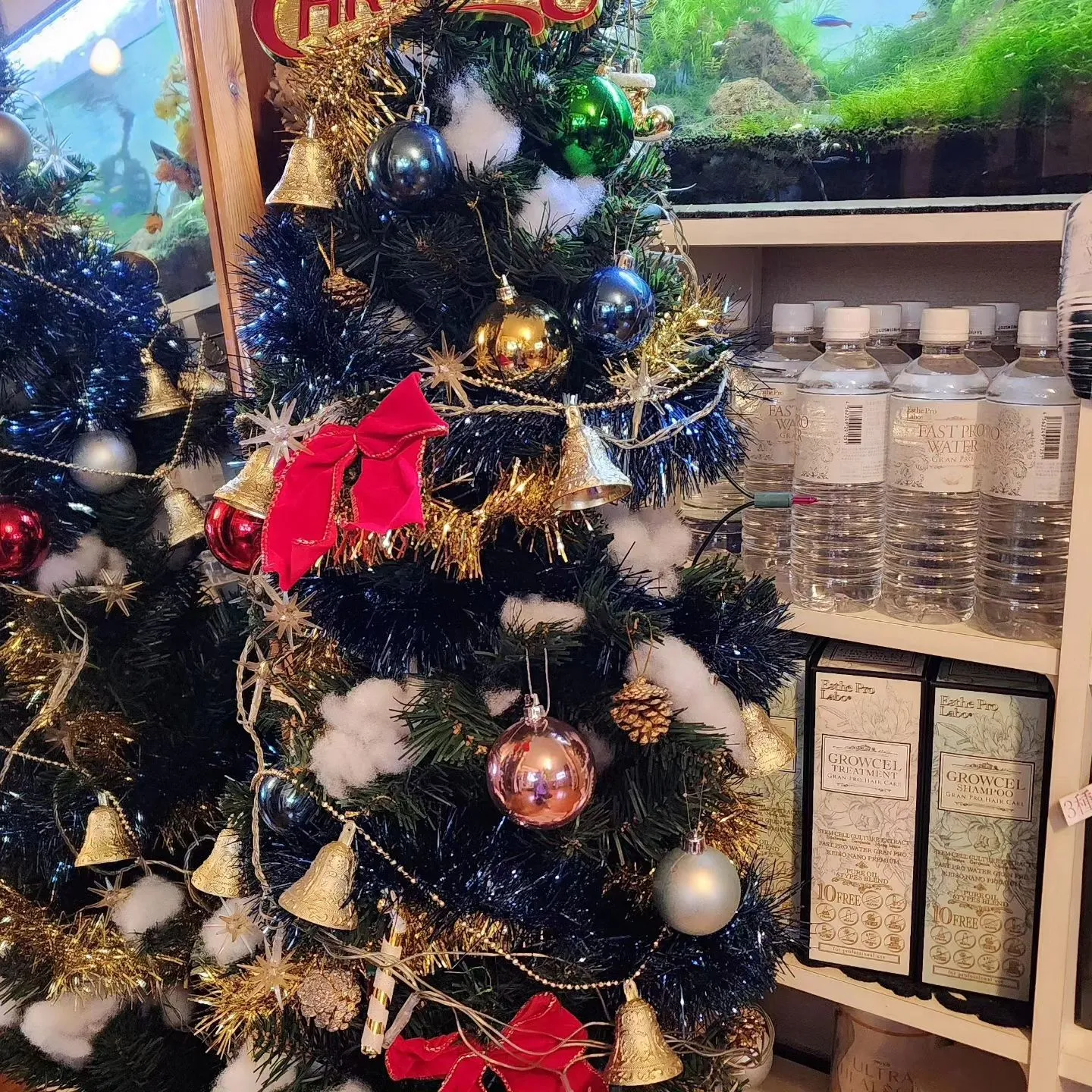 素敵なクリスマス✨🎄✨を💓