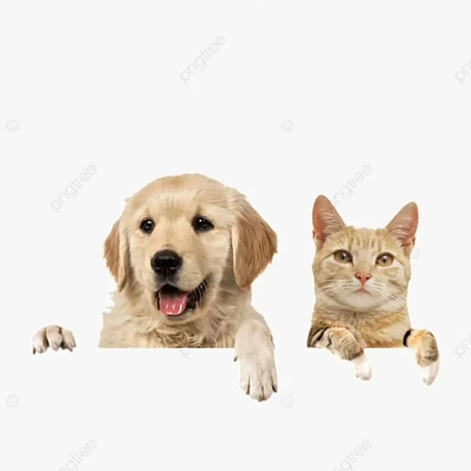 そろそろ挙式を予定されている方は、ブライダルエステとして引き...