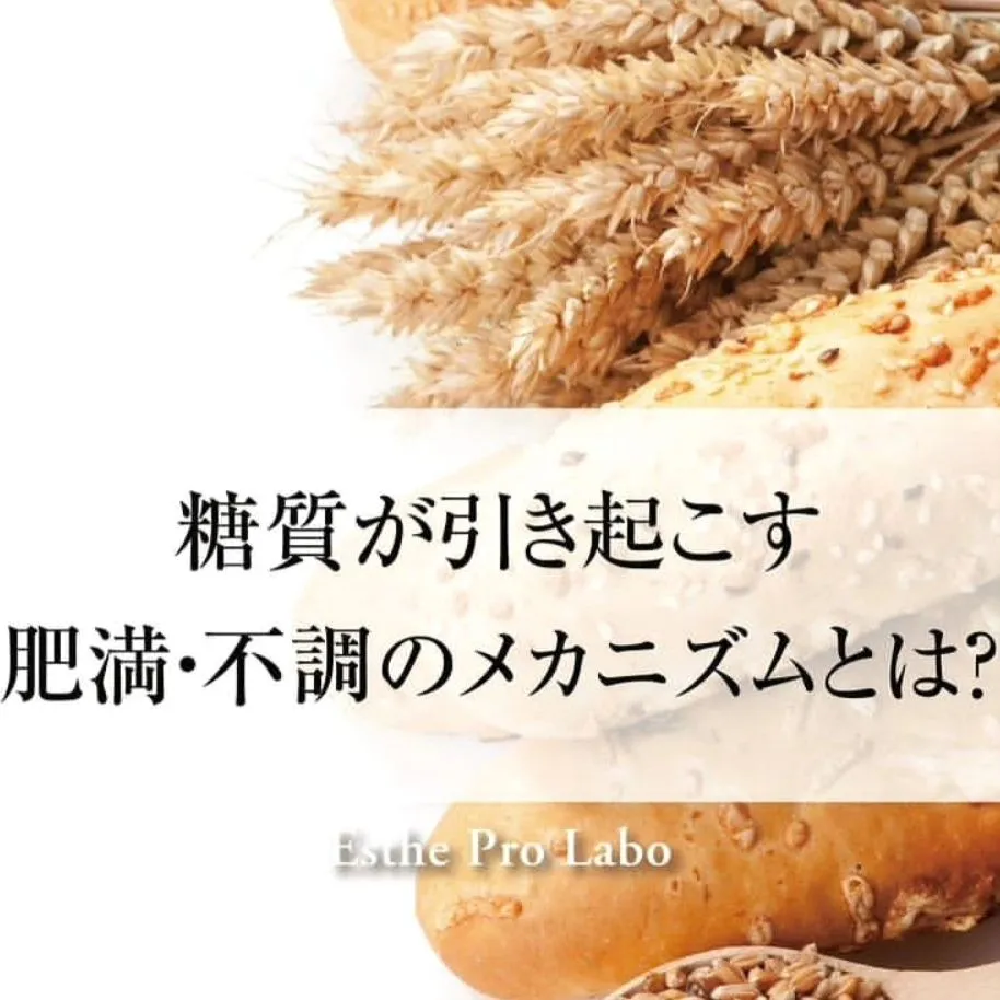 先日は、遠方からのお客様でした。