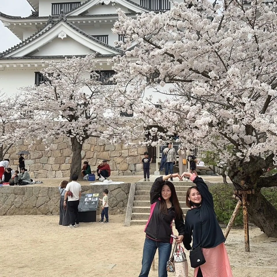 お友達とお花見へ花見🌸🍵✨そして桜の花びらを浮かべてお抹茶会...