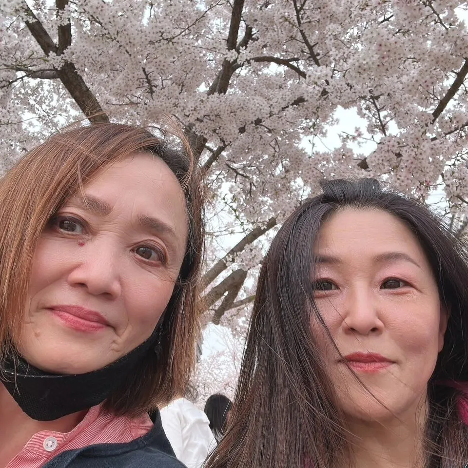 お友達とお花見へ花見🌸🍵✨そして桜の花びらを浮かべてお抹茶会...