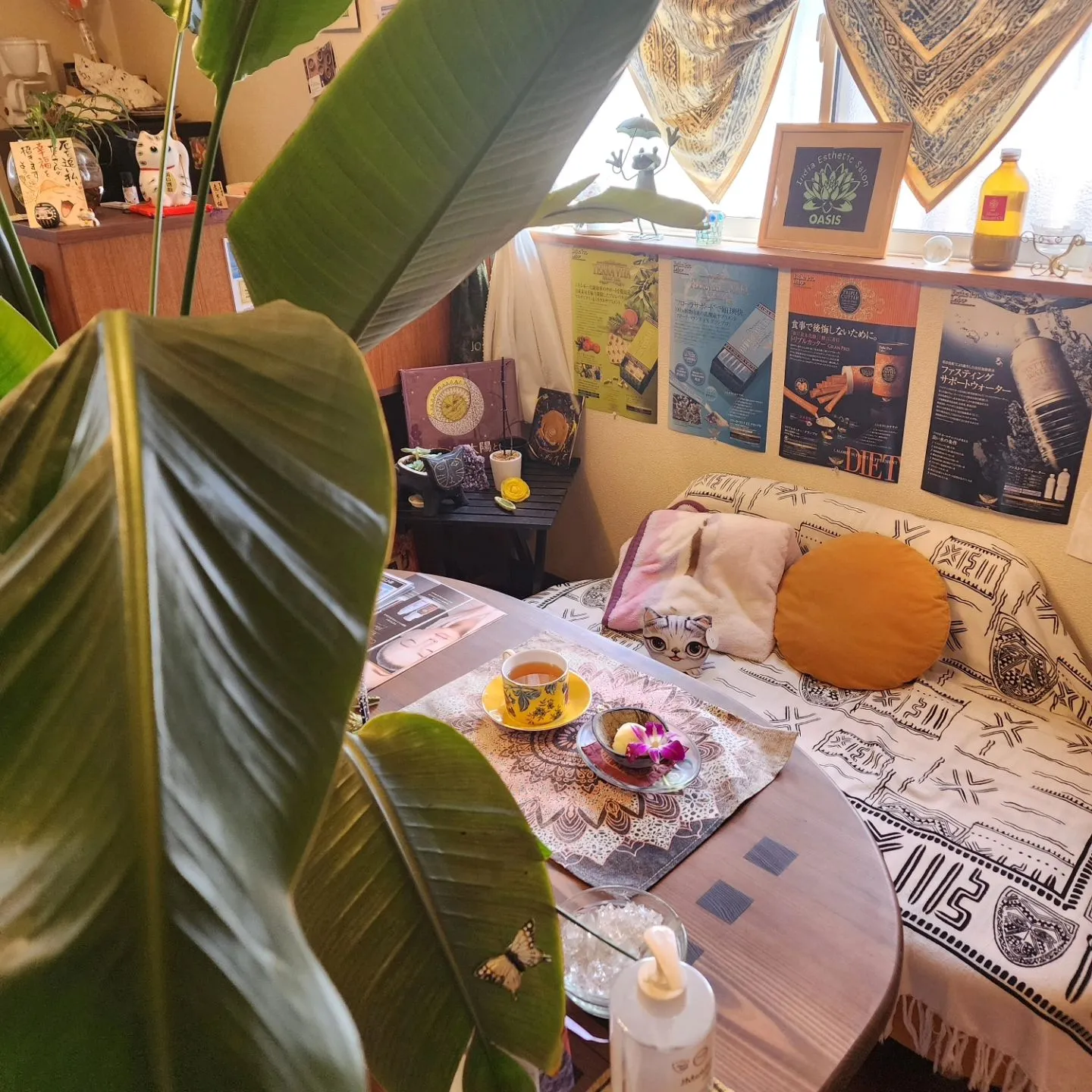 夏場のケアとして背中の疲れや肩こりなどを感じる方には、上半身...