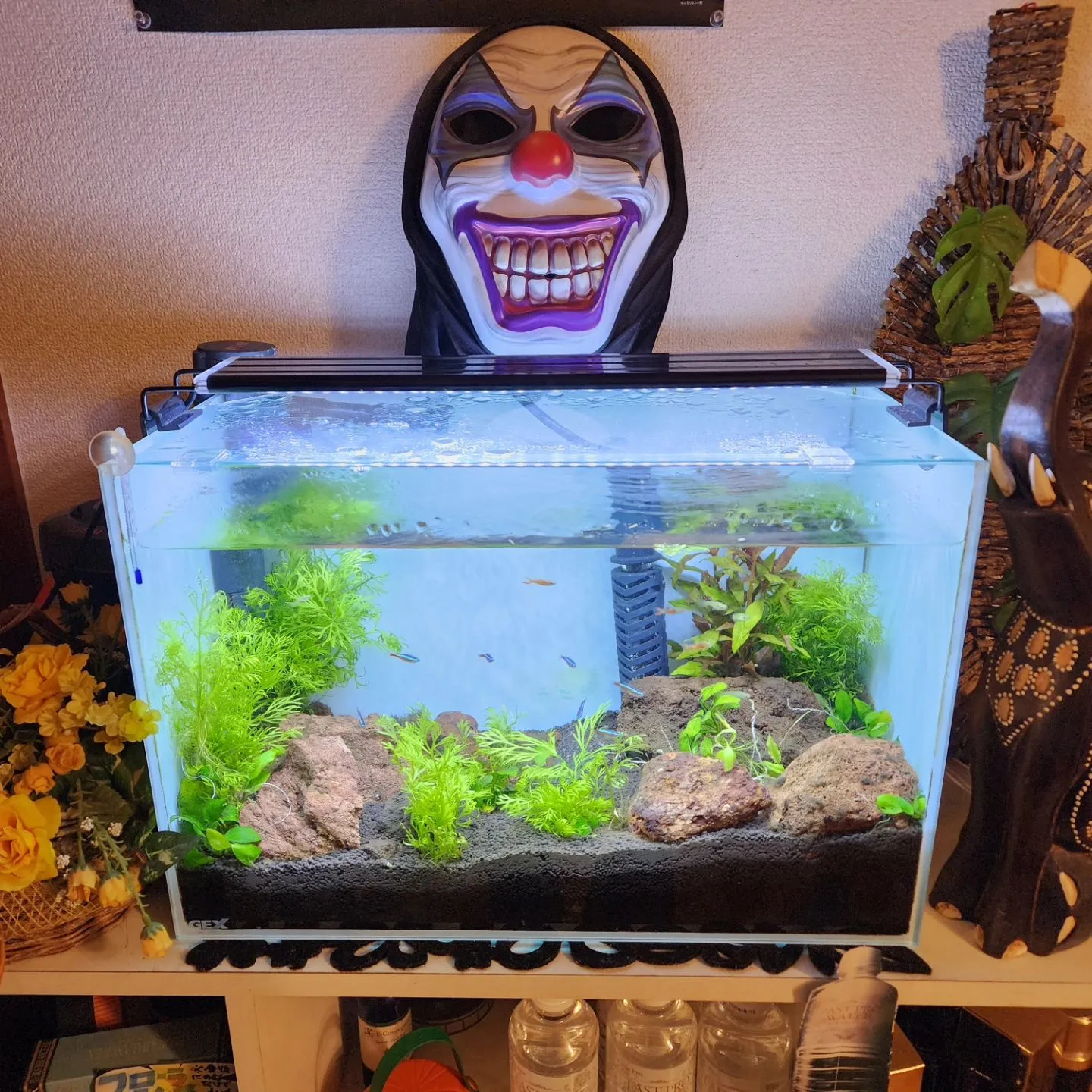 秋のダイエットや痩身エステで今季こそは、体重を落としたい！落...