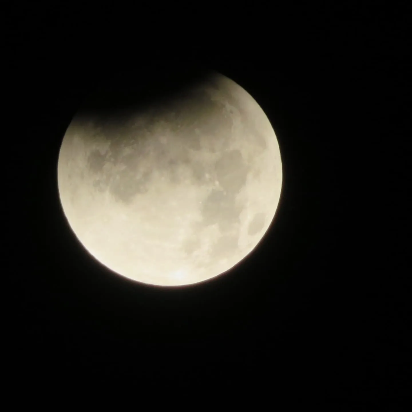 こちらは、7日の真っ昼間です。