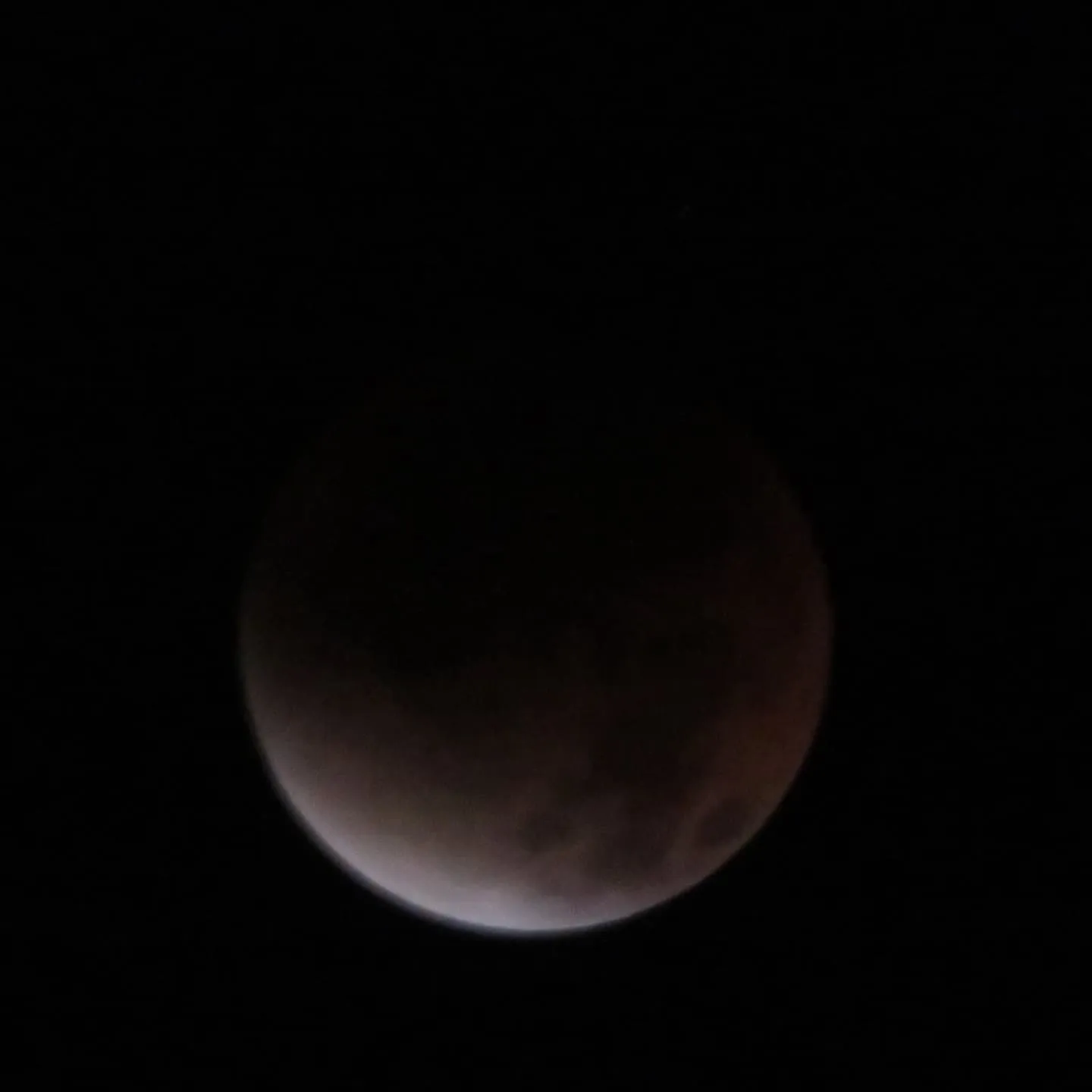 こちらは、7日の真っ昼間です。