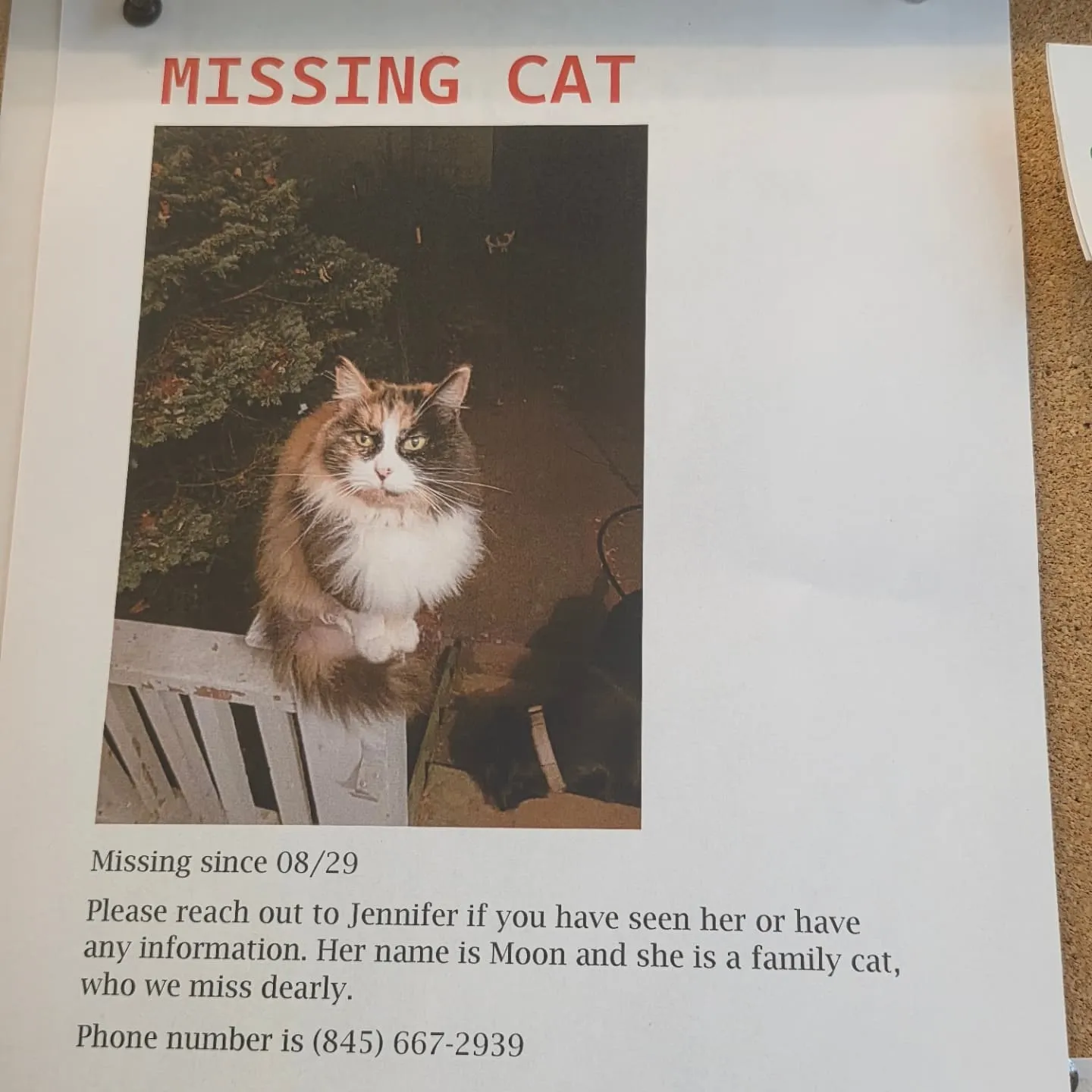 残りの休暇も後わずか。