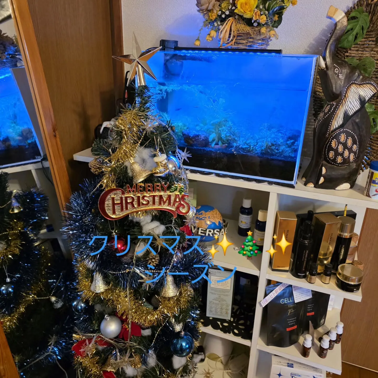 水槽のライトが点灯しなくなったので、今回は