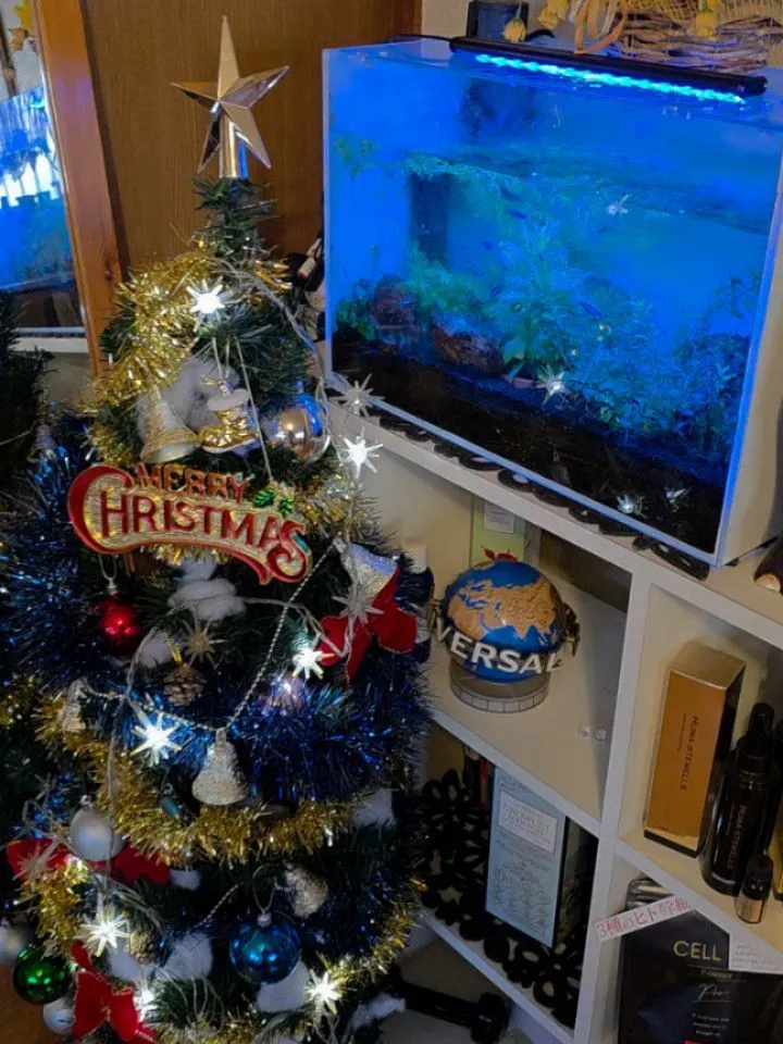 クリスマス✨🎄✨がお誕生日のお客様